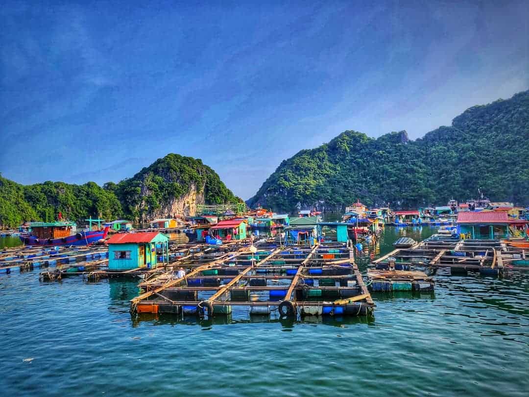 Lang-chai-Cua-Van-Ngoi-lang-nho-thanh-binh-giua-Vinh-Thien-Duong-16-1642103791