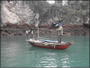 Picture3-300x227