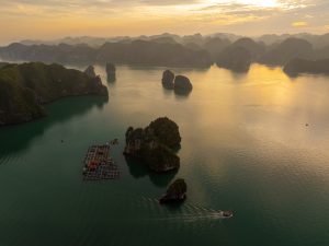DJI_20260226152249_0107_D-sao-chep-300x225